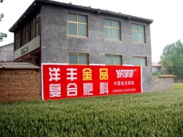 营山县如何让墙体广告展现最大化效果