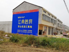 营山县农村墙体广告在不同形式上面展现的不同特色