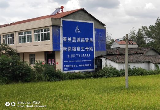 营山县决定墙体广告价格的因素有哪些？