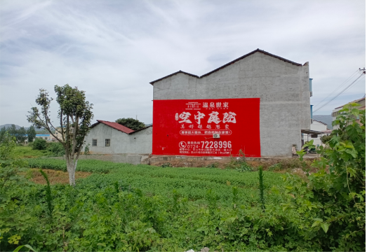 营山县做墙体广告的意义