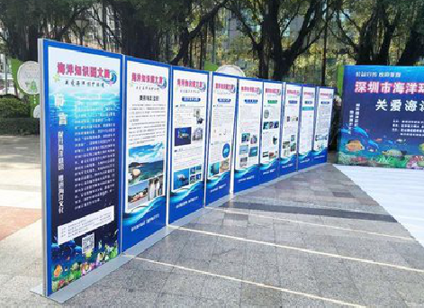 营山县KT板的种类和知识。